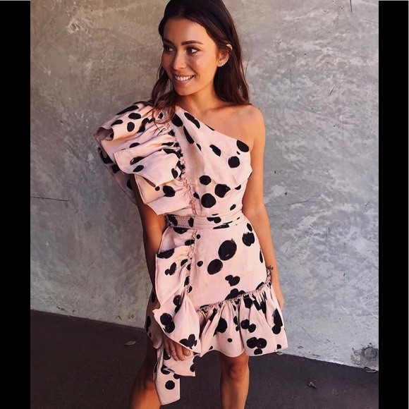 aje Dresses & Skirts - ❤️ Blogger’s favorite AJE BERONIA dress